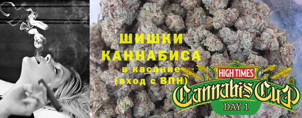 spice Верхний Тагил