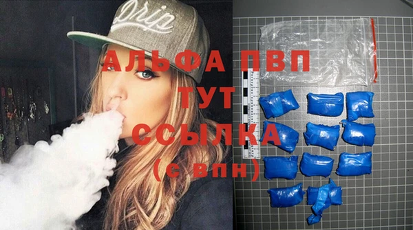 индика Верея