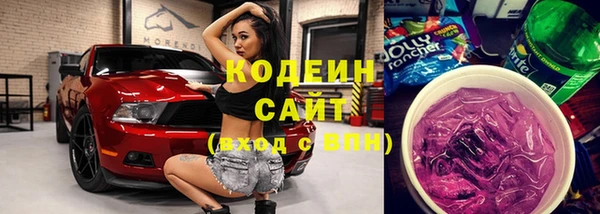 индика Верея