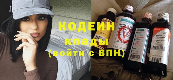 индика Верея