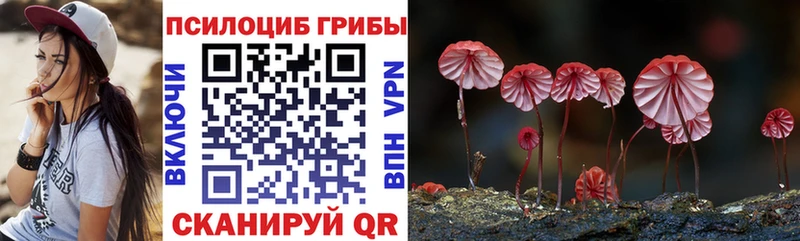 Псилоцибиновые грибы Psilocybe наркотики Семёнов
